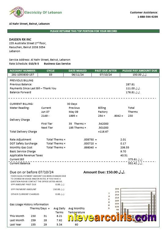 Lebanon Electricity of Lebanon business utility bill